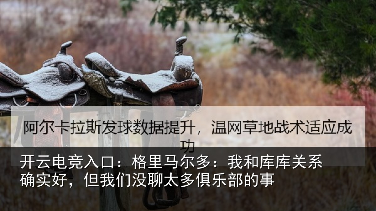 开云电竞入口:格里马尔多:我和库库关系确实好,但我相关情况的事
