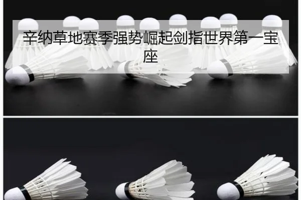 xin-na-cao-di-sai-ji-qiang-shi-jue-qi-jian-zhi-shi-jie-di-yi-bao-zuo-2-607.jpg