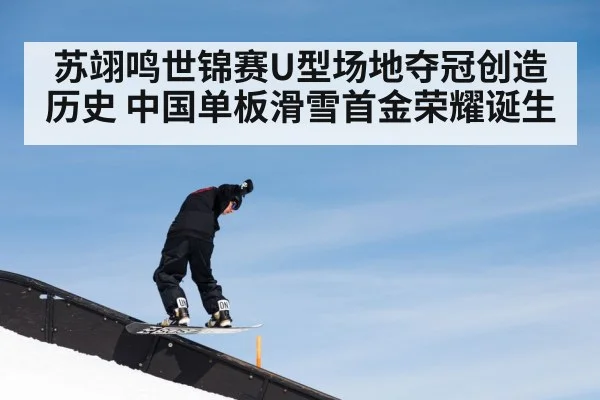 苏翊鸣世锦赛U型场地夺冠创造历史 中国单板滑雪首金荣耀诞生